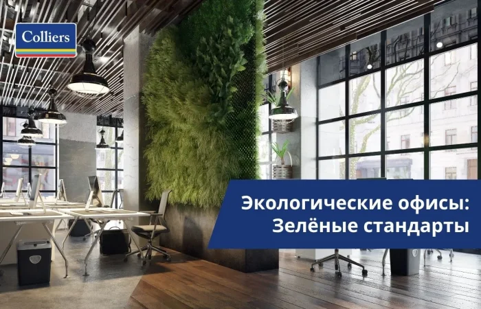 Экологические офисы - зелёные стандарты