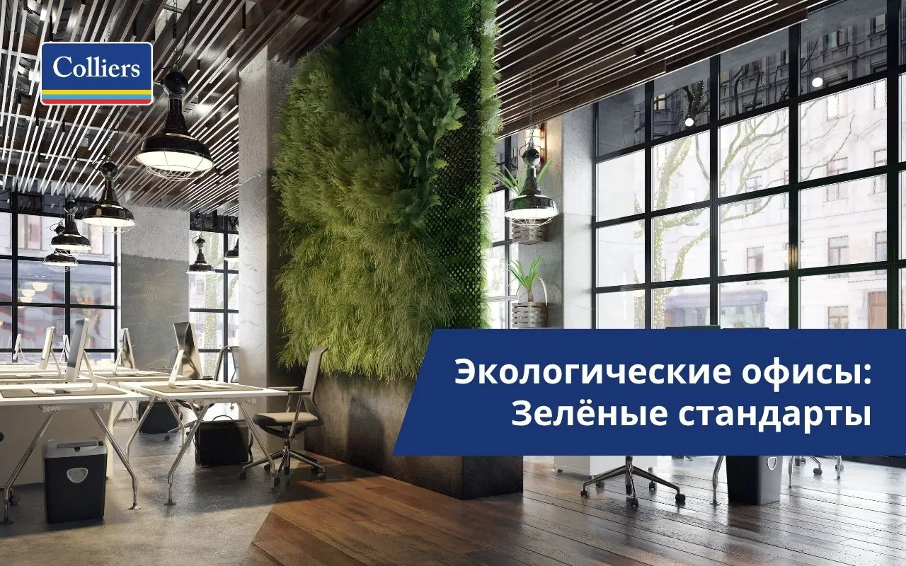 Экологические офисы - зелёные стандарты