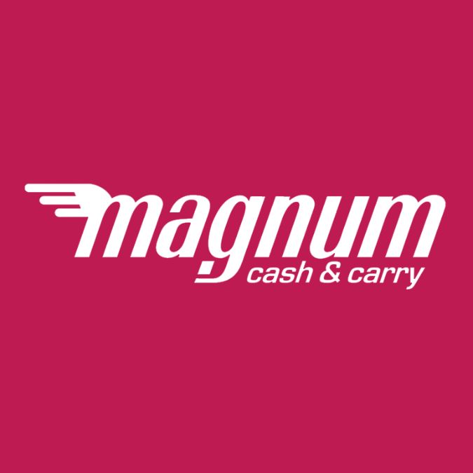 Оценка стоимости ТОО Magnum Cash & Carry LLP