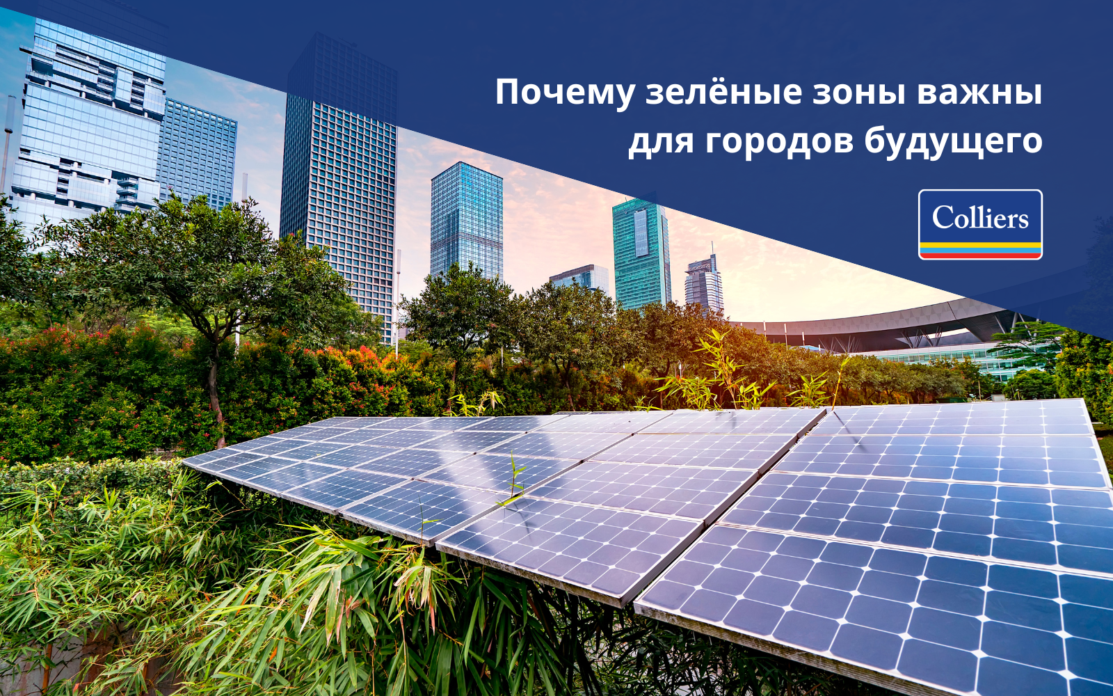 Почему зелёные зоны важны для городов будущего