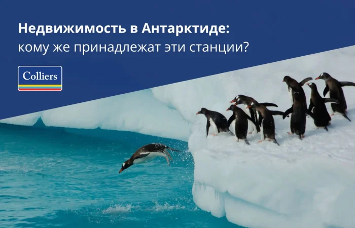 Недвижимость в Антарктиде