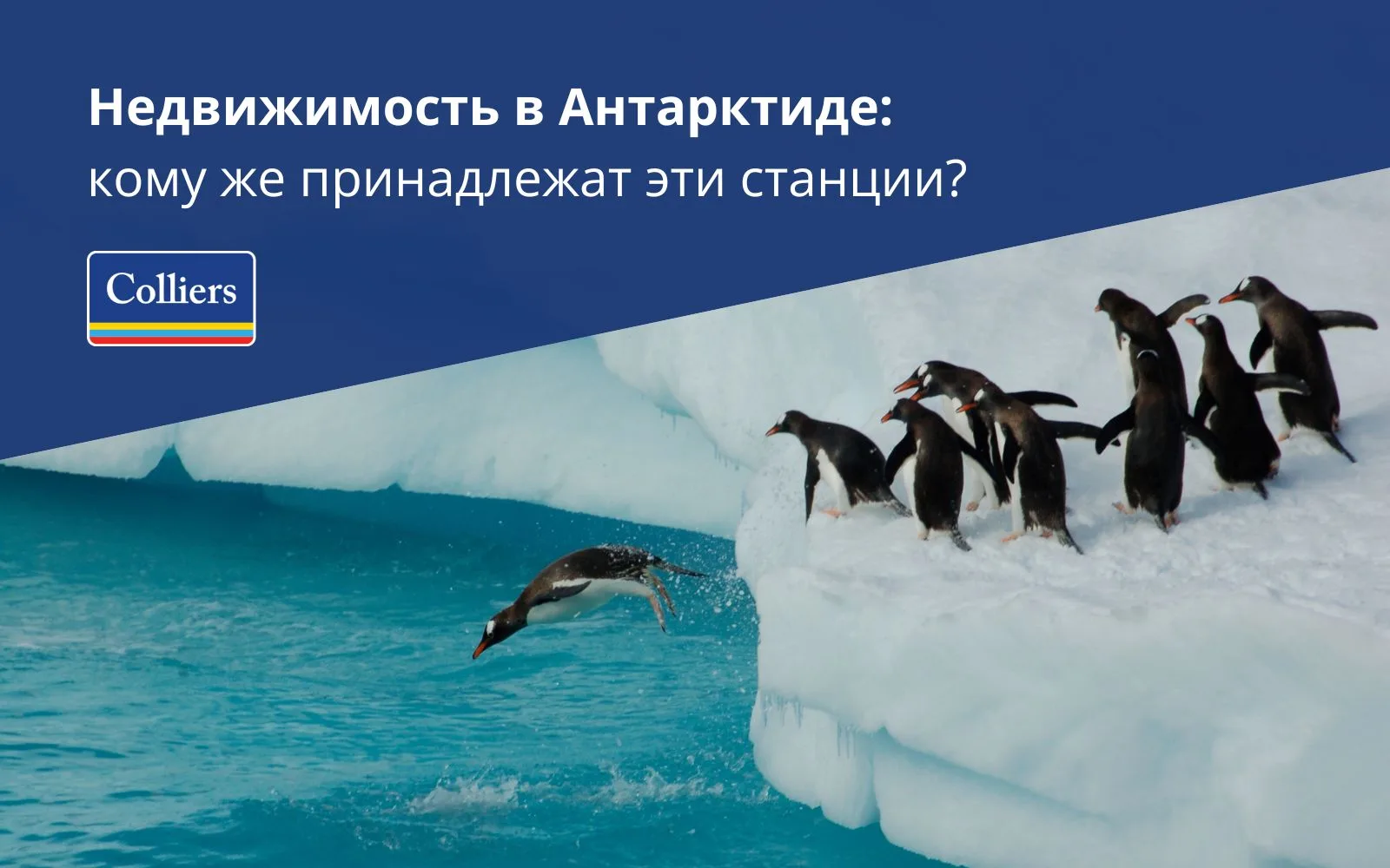 Недвижимость в Антарктиде