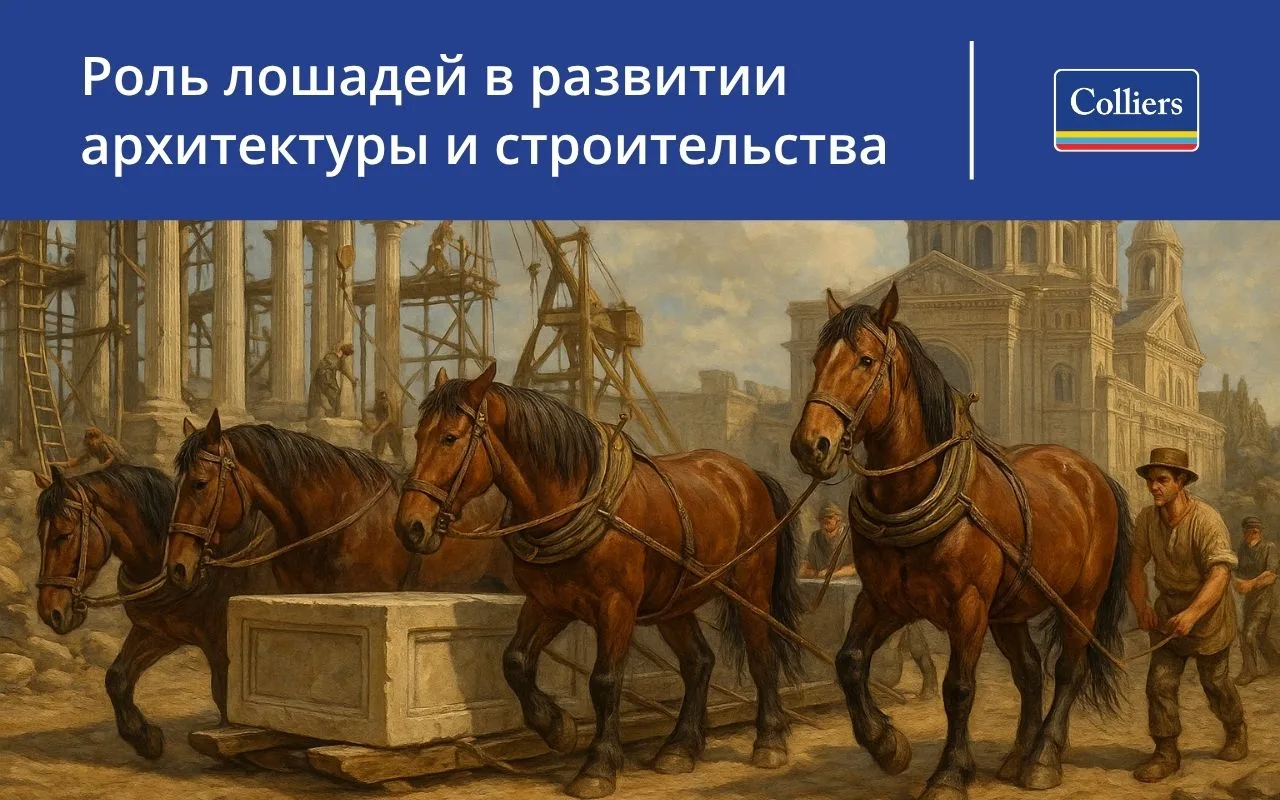 Роль лошадей в развитии архитектуры и строительства обложка статьи
