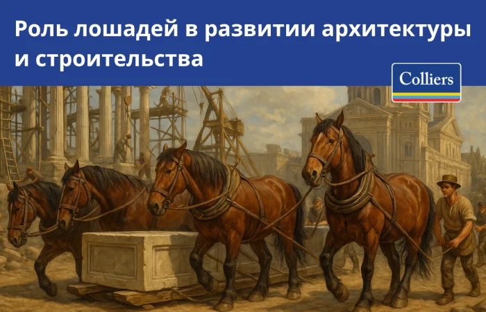 Роль лошадей в развитии архитектуры и строительства